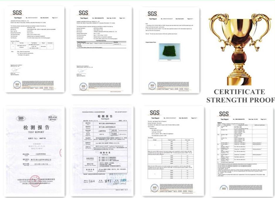  jiangsen artificial grass certification .jpg