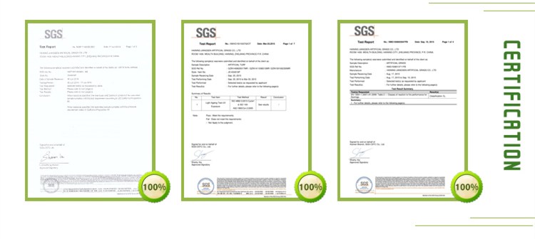 glaswellt artiffisial jiangsen certificate.jpg