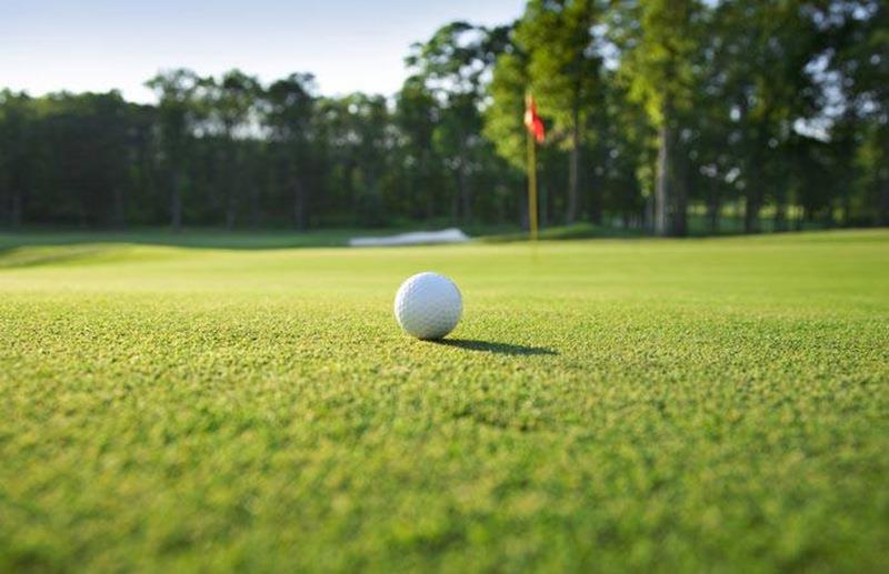 synthetic grass for golf