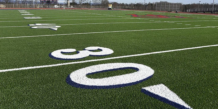 FootballTurfNumbersweb488 FootballTurfNumbersweb488