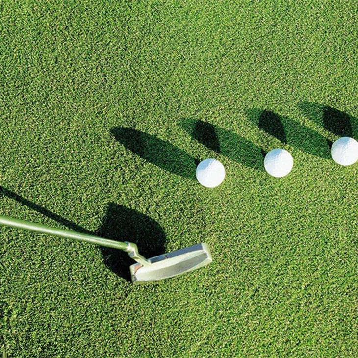 2 Tone 10 15MM Durable Soft Beautiful Artificial Putting Green Grass For Golf Sports
