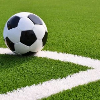 Tyrfa Cae Chwarae Artiffisial