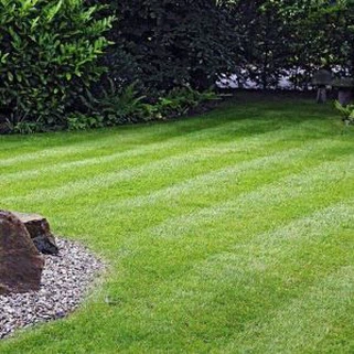 Glaswellt Glaswellt Artiffisial Ar Gyfer Cartrefi