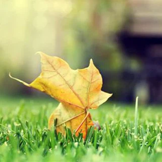 Glaswellt ffug Artiffisial 35mm Poblogaidd ar gyfer Addurno Rubber Mats