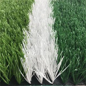 Glaswellt Synthetig Cymdeithaseg