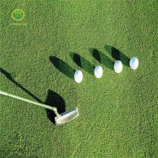 Cwrs Turfio Synthetig ar gyfer Golff