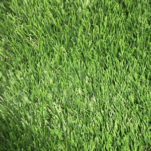 Tywarchen Artiffisial 6 Ft. X 8 Ft