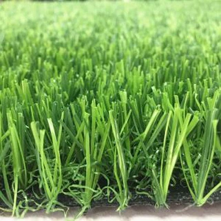 Glaswellt Turf Iard Gefn