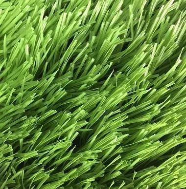 Sports Turf Lnternational