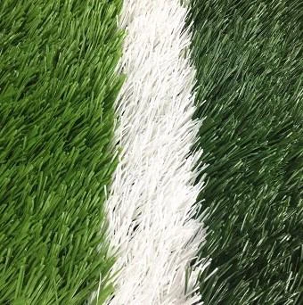 Sports Turf Lnternational