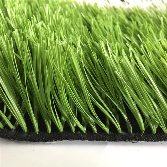 Sports Turf Lnternational