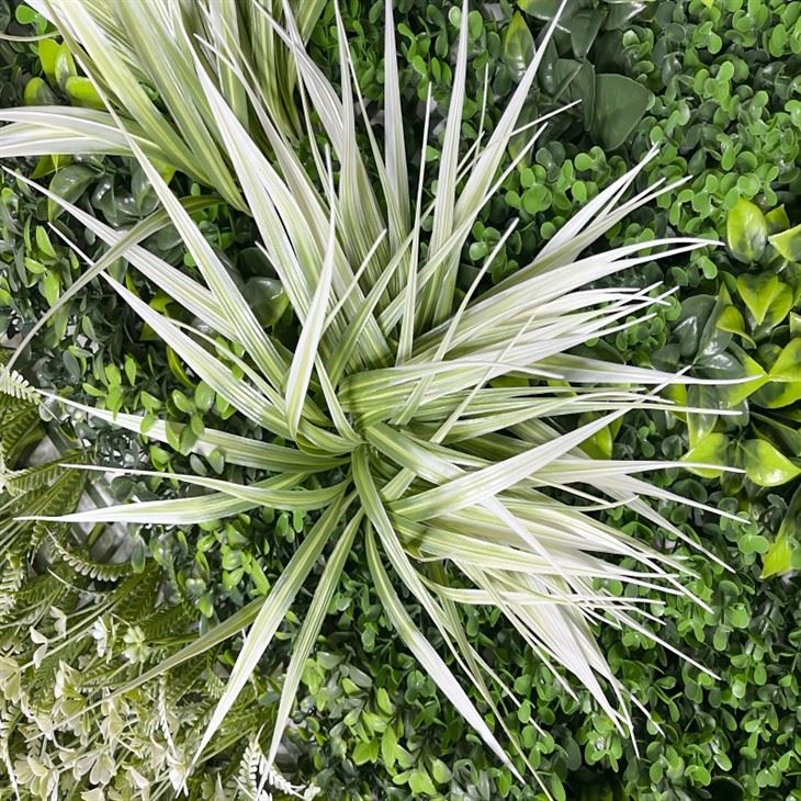 Plant Wall