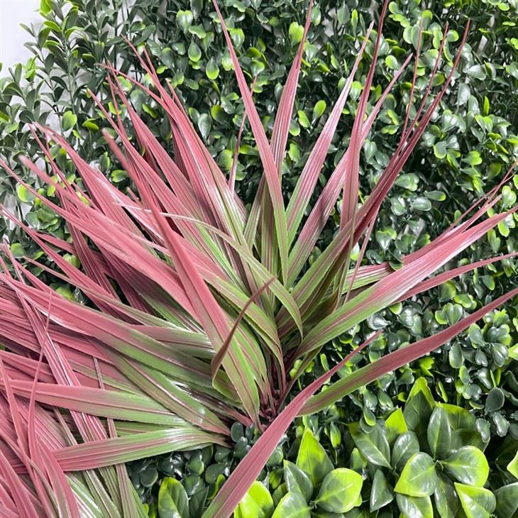 Plant Wall