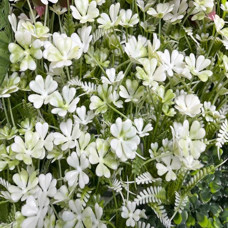 Plant Wall